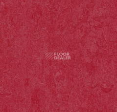 Линолеум Forbo Marmoleum Decibel on Order 327335 ruby фото 1 | FLOORDEALER